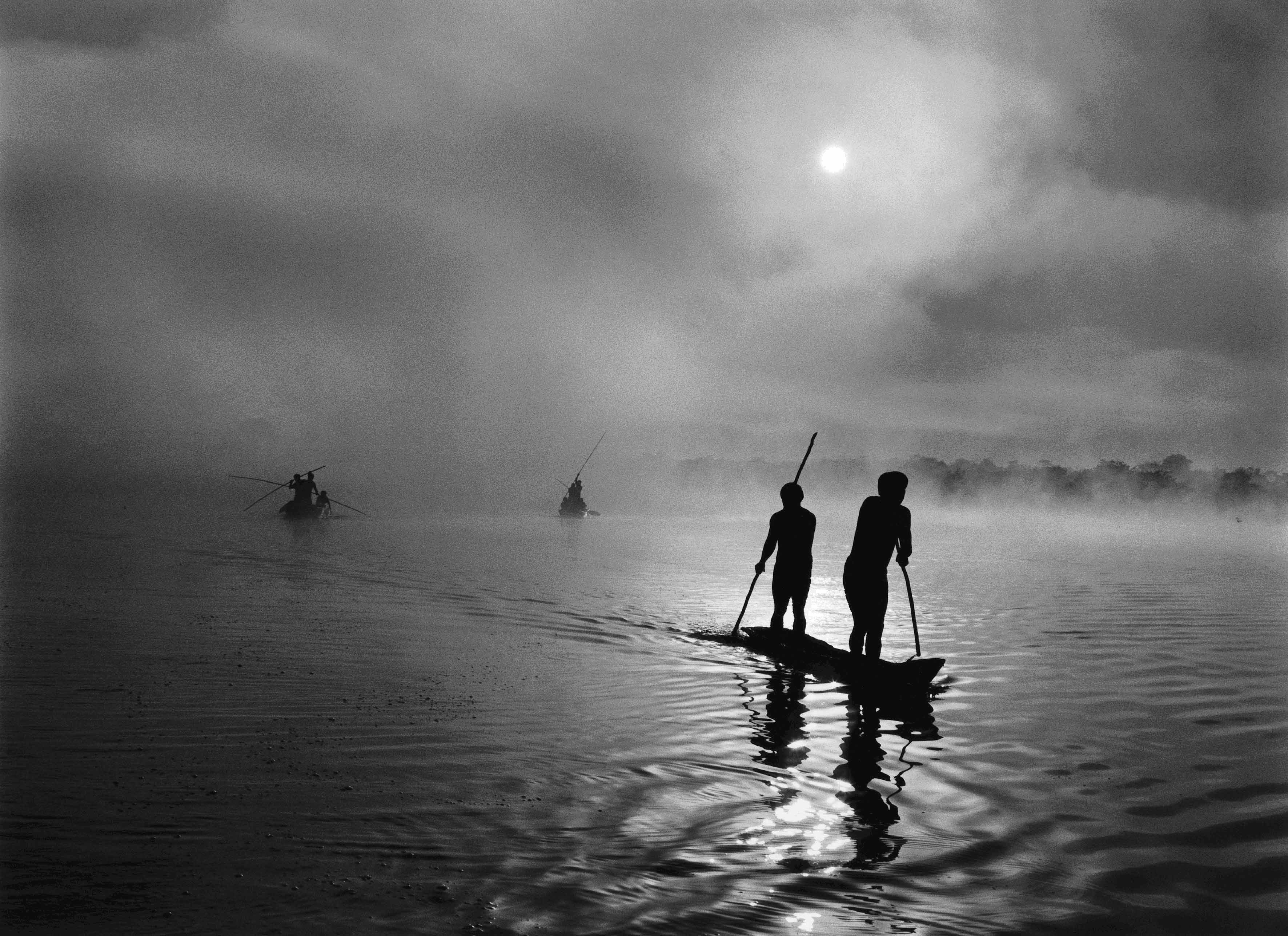 Sebastião Salgado. Genesis
