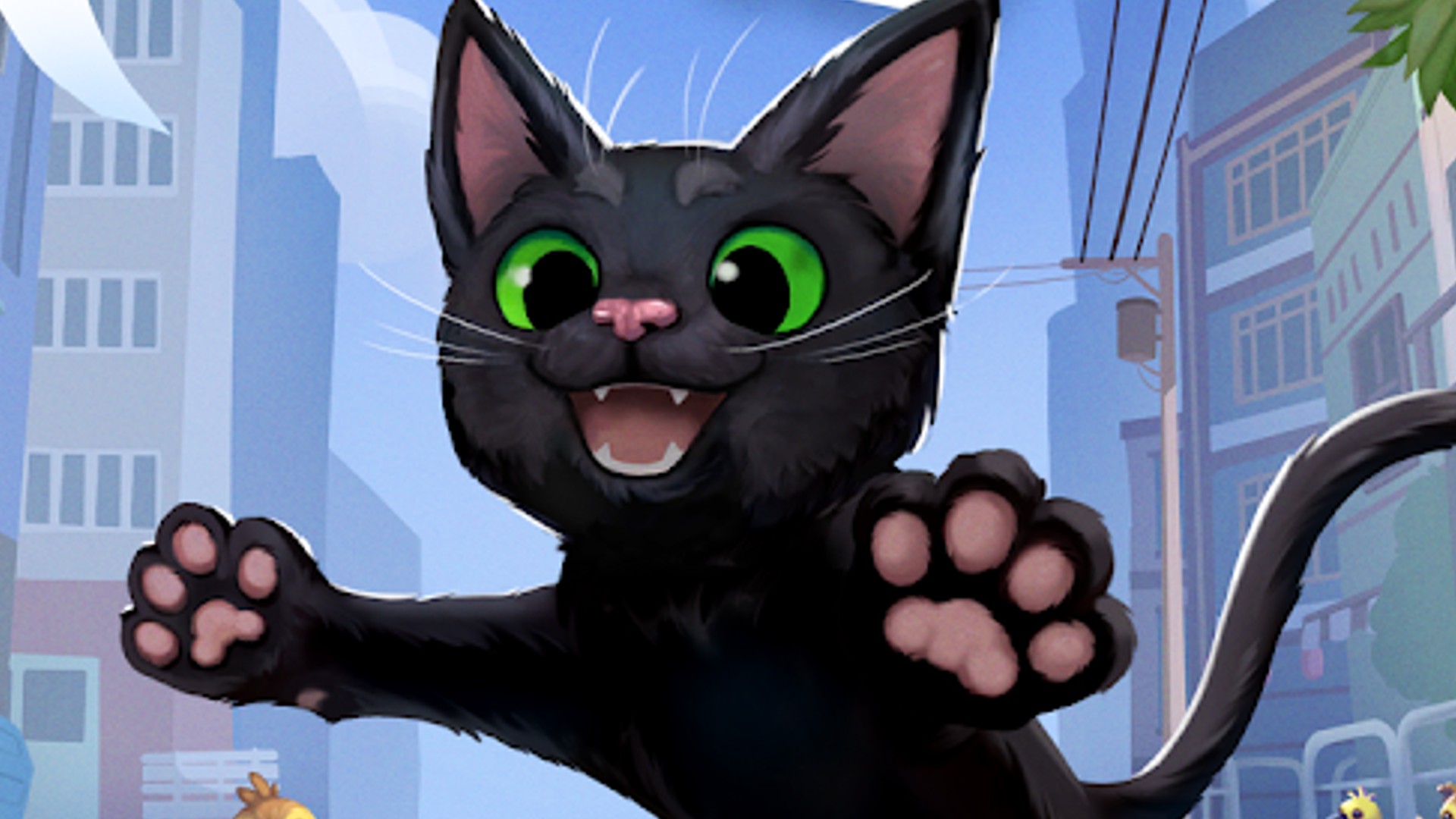 Little Kitty Big City release date
