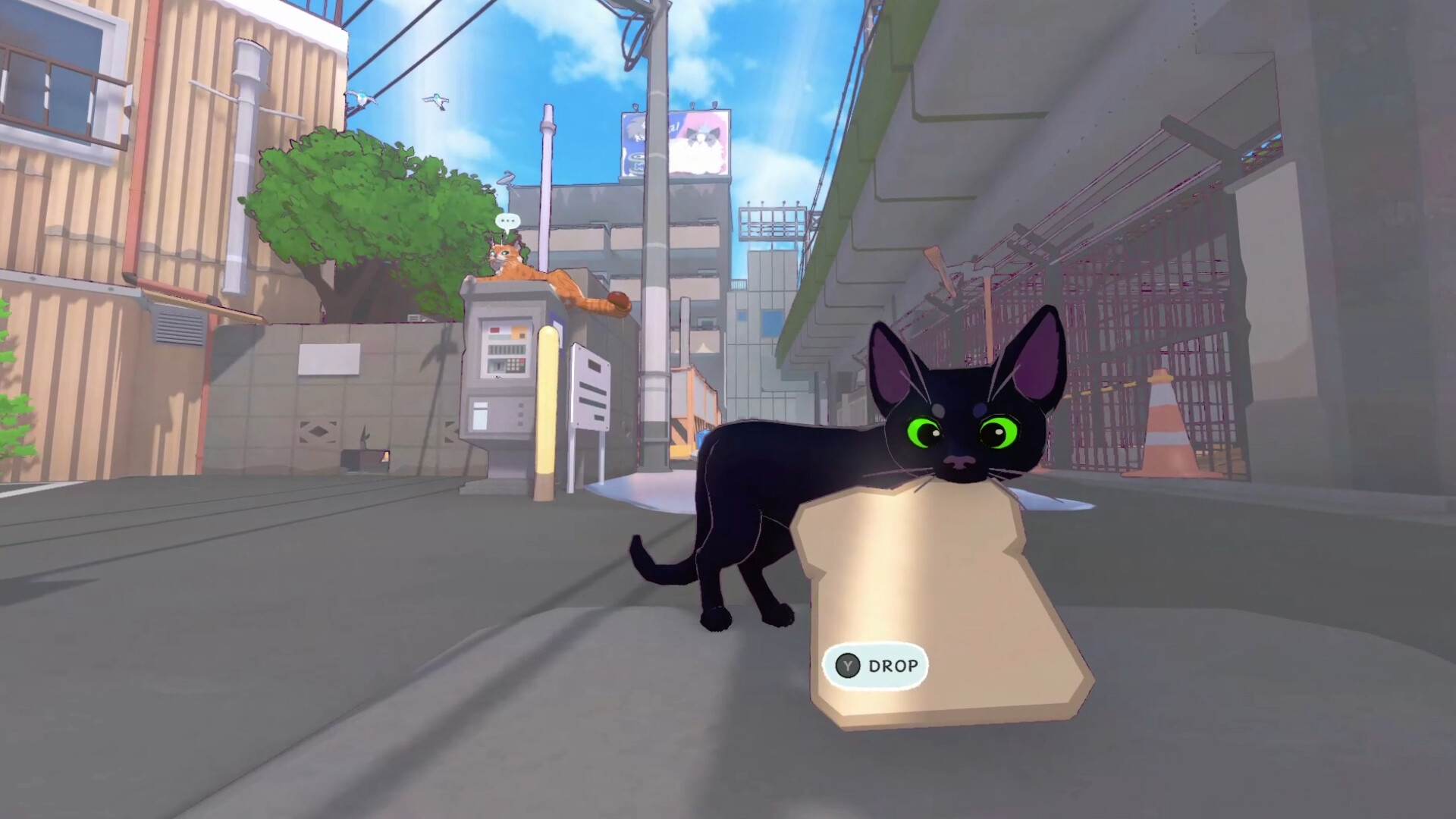 Little Kitty, Big City is a purrfect