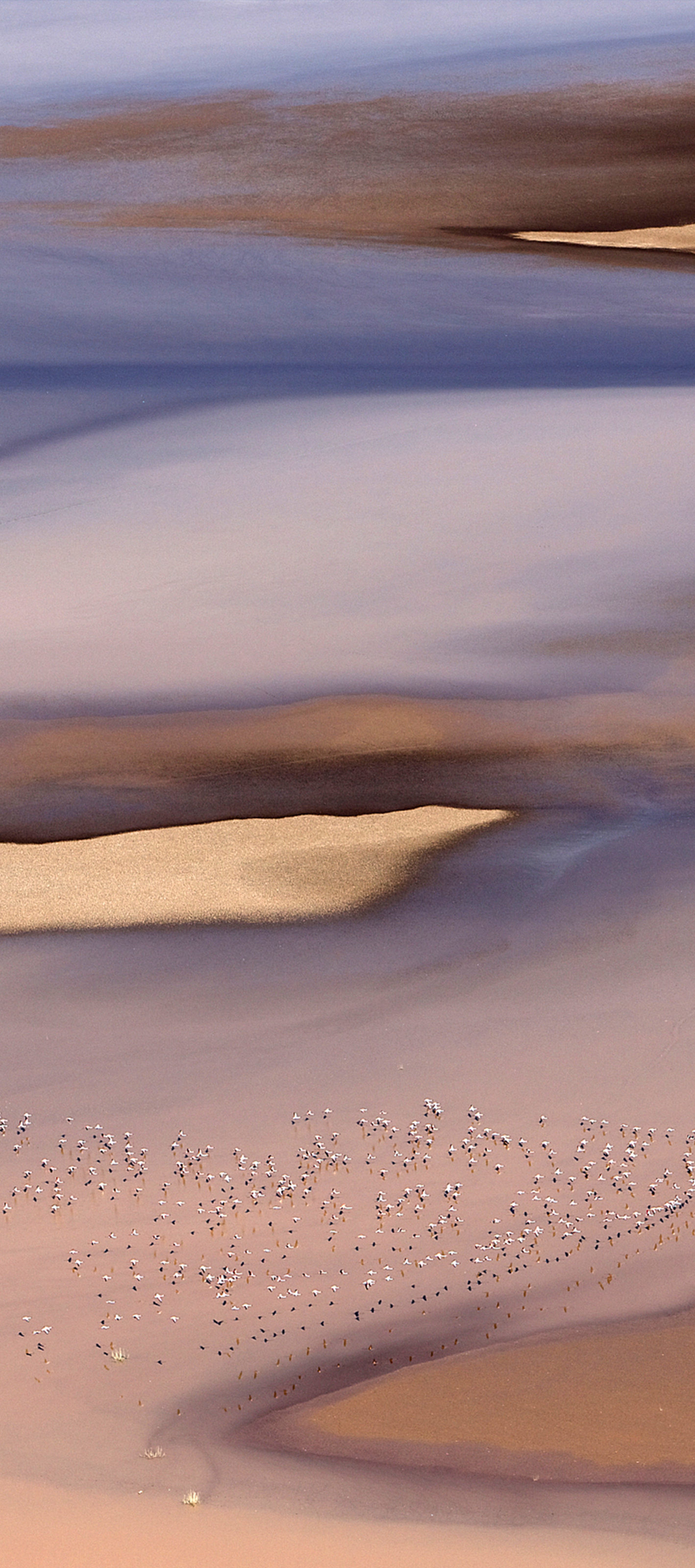 Infinix Note 40 Pro wallpaper