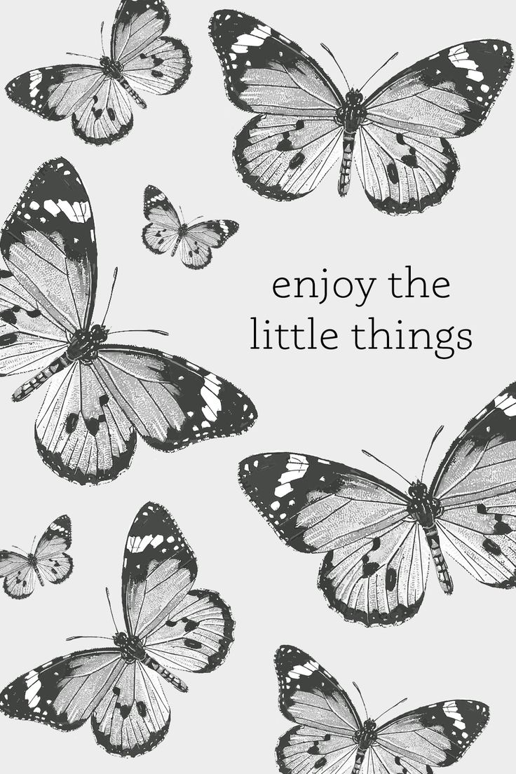 Butterfly Magic