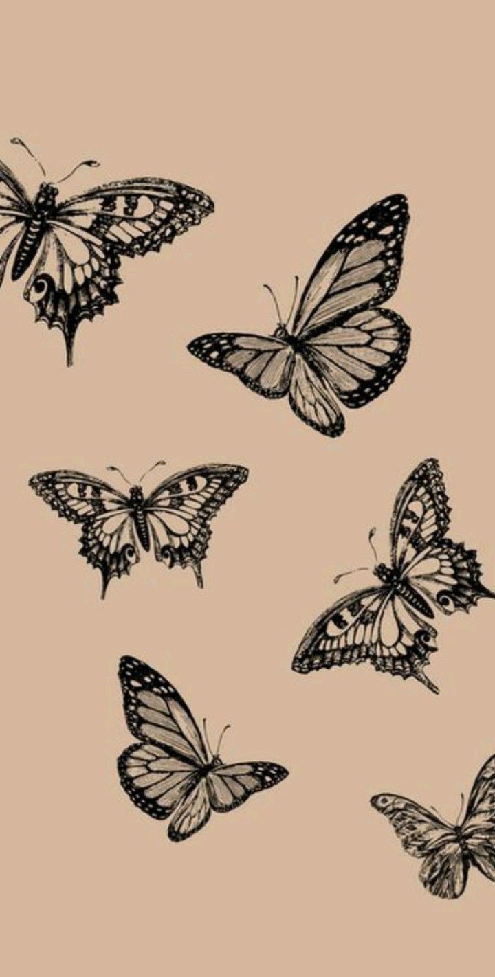Butterfly Aesthetic Wallpaper for Your