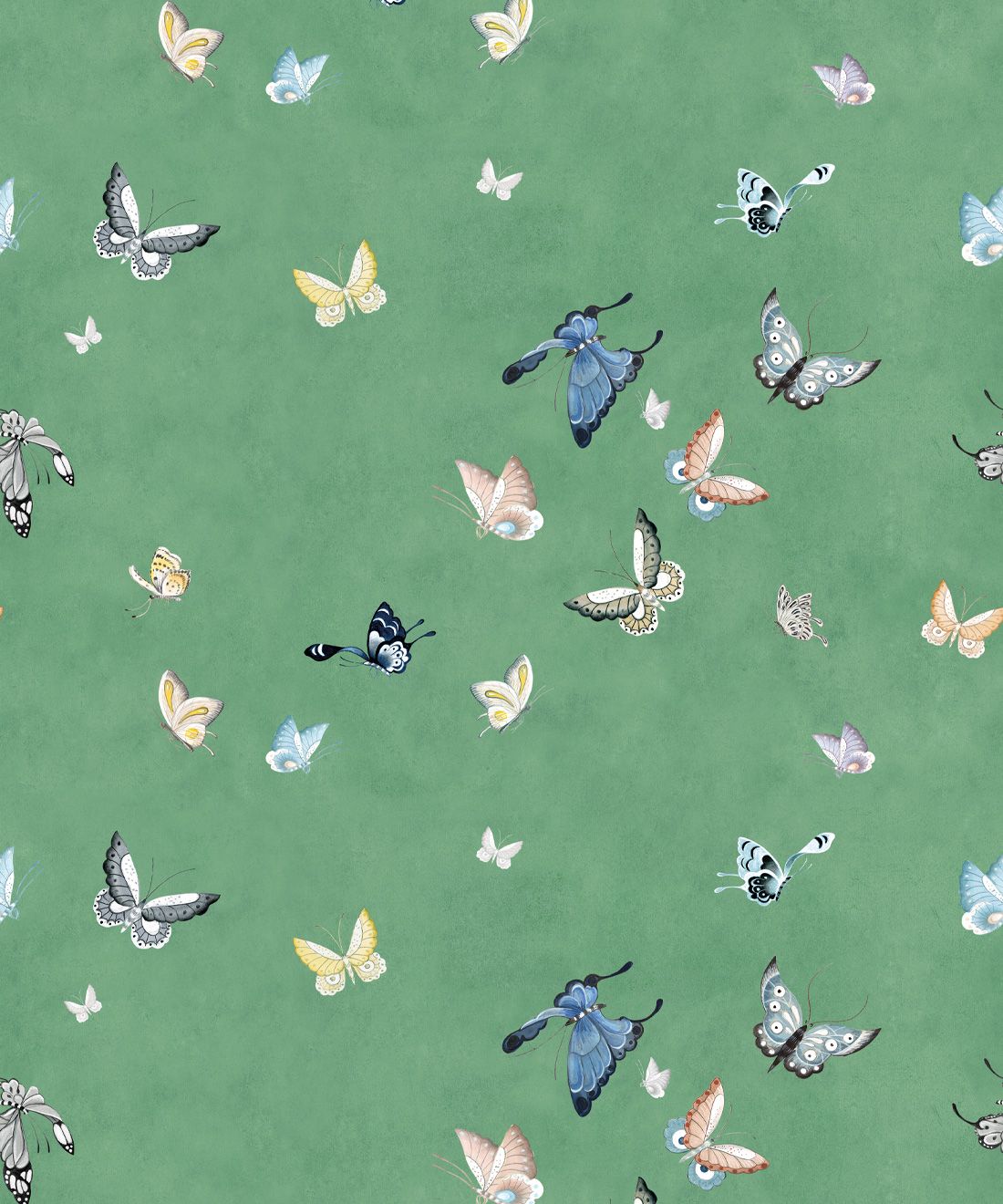 Butterflies Wallpaper • Butterflies