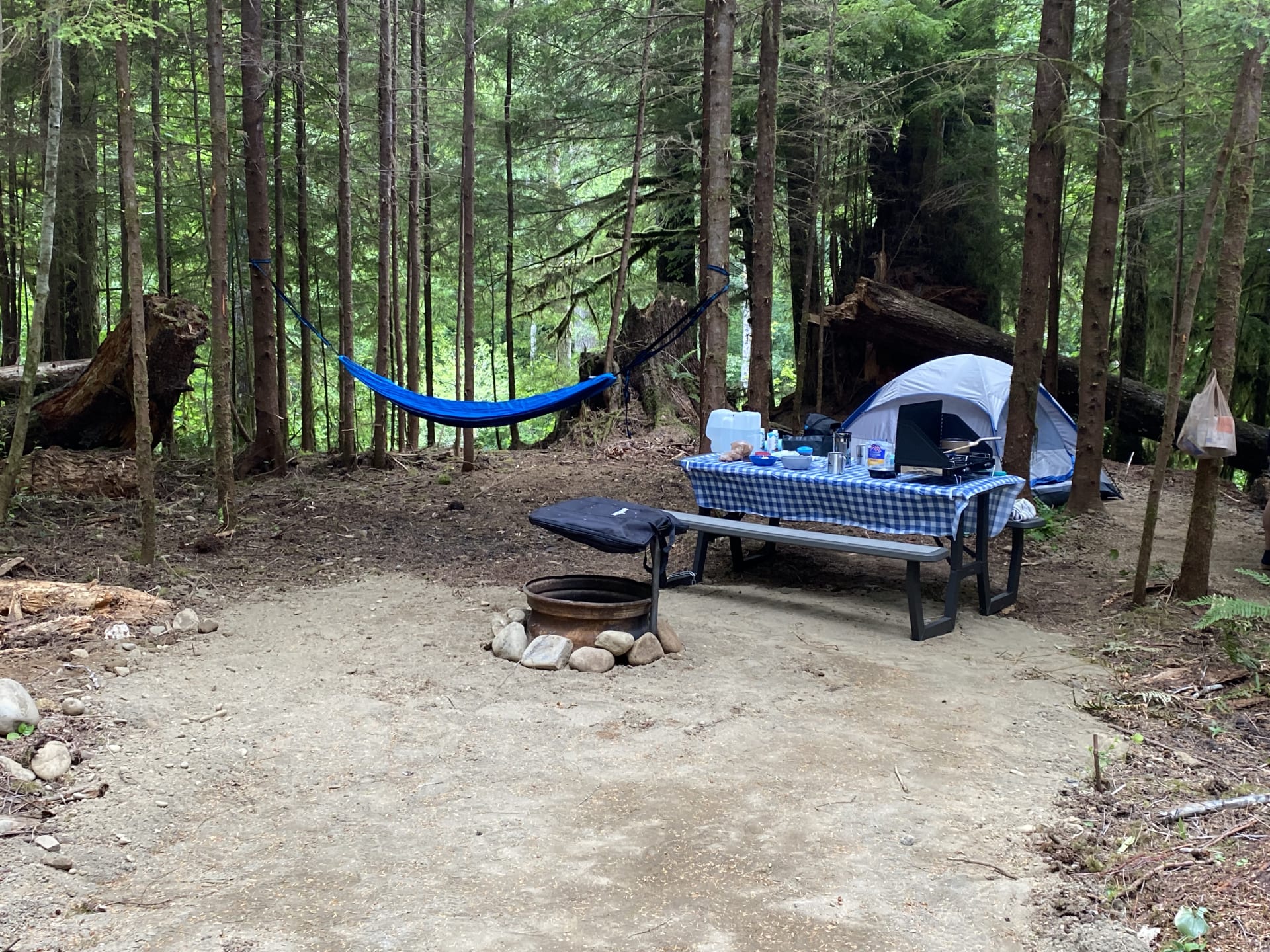 Dawleys SolDuc River Campground
