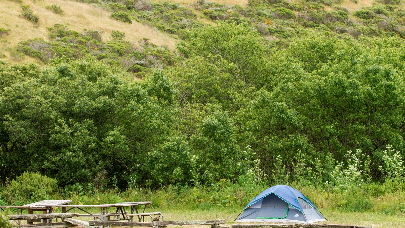 Golden Gate National Recreation Area