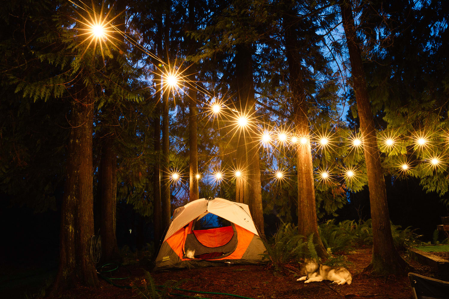 Try These Cozy Campfire Alternatives