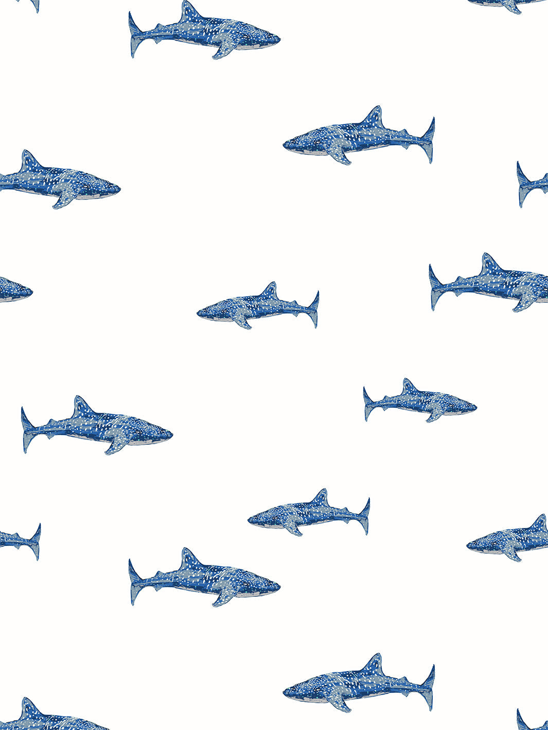 Spotted Shark' Wallpaper