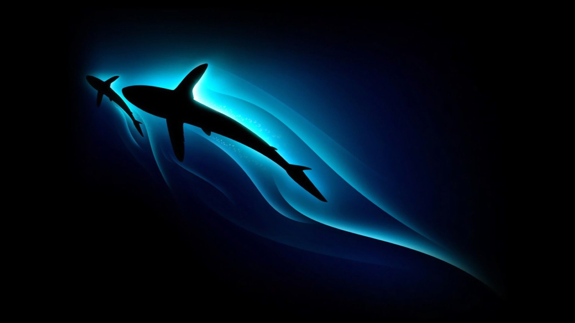Shark Aesthetic Laptop Wallpaper
