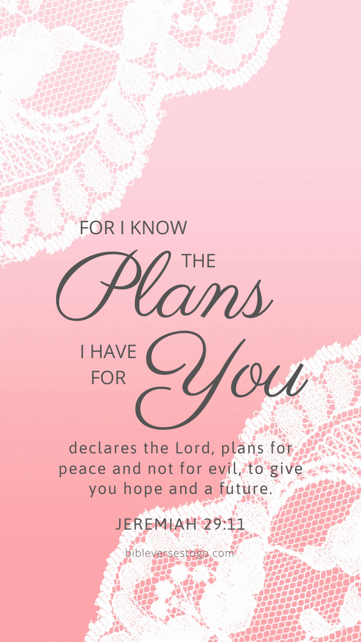 Pink Lace Jeremiah 29:11