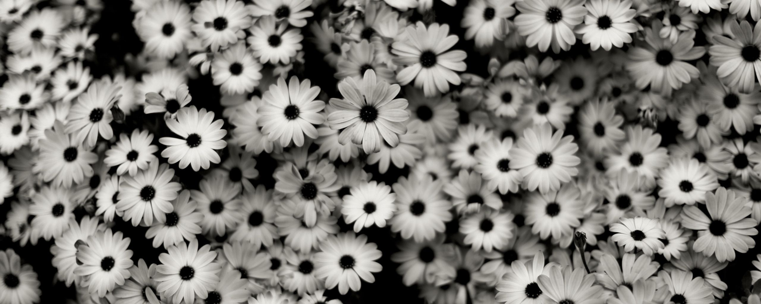 Download wallpaper 2560x1024 black