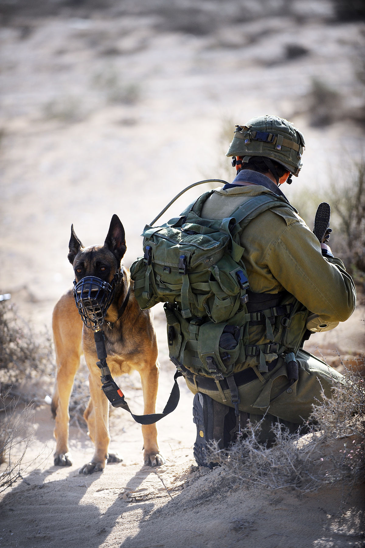 Flickr Defense Forces