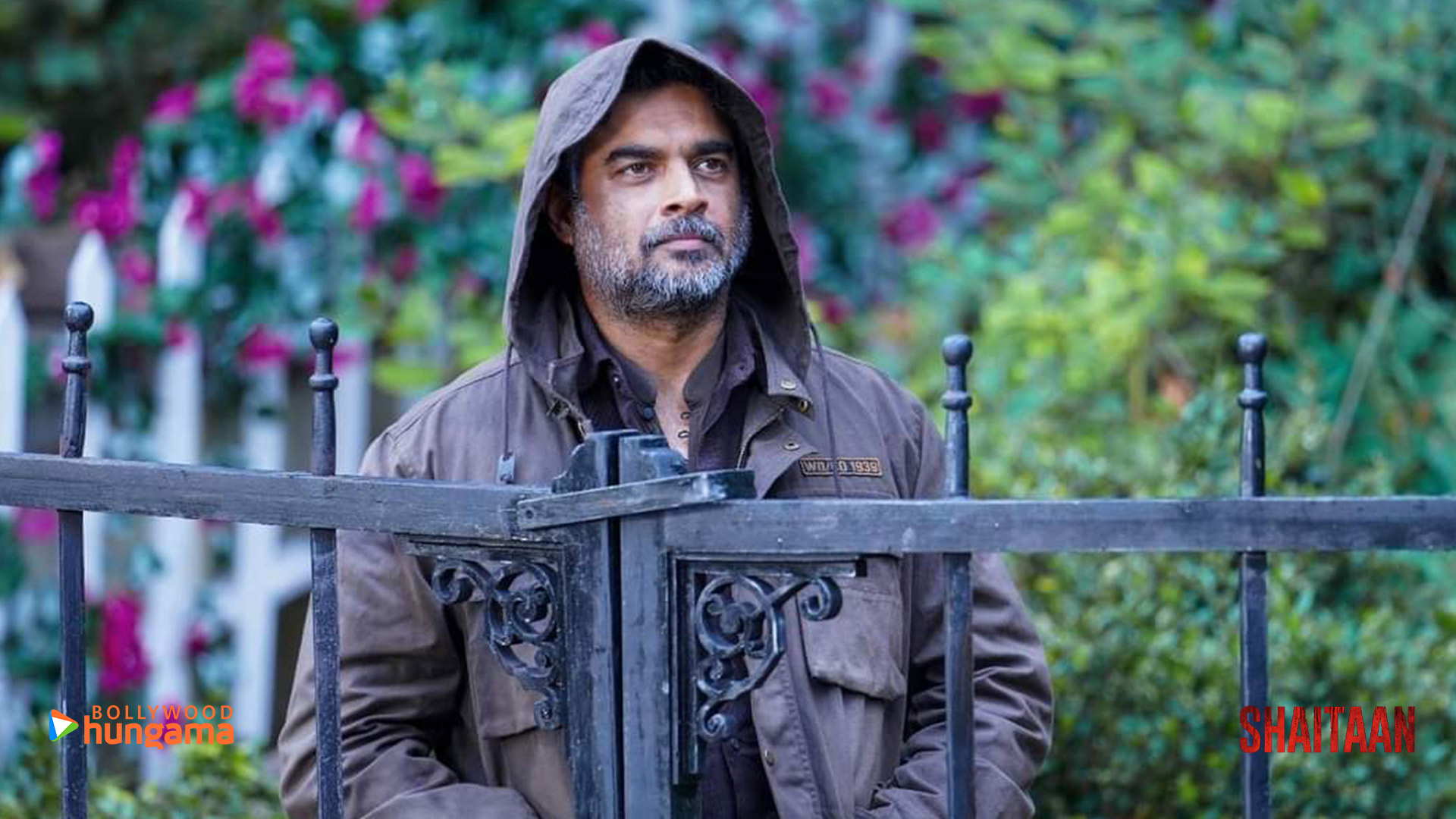 Shaitaan 2024 Wallpaper. Shaitaan