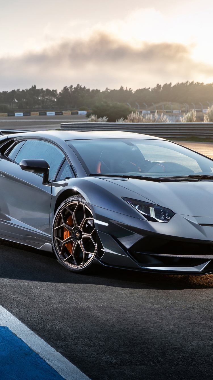 Download wallpaper 750x1334 lamborghini