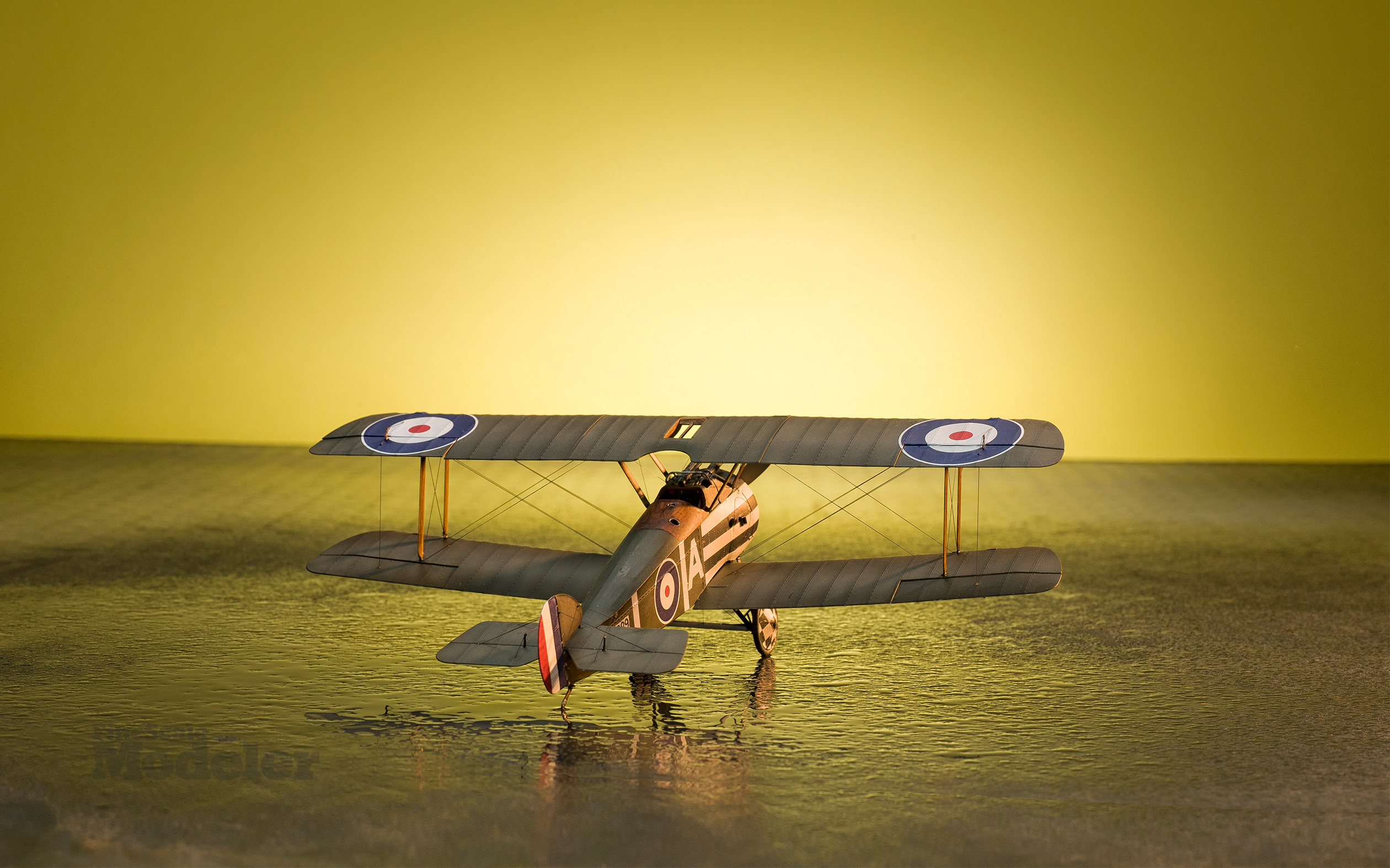 Wallpaper: Wingnut Wings' Sopwith Camel