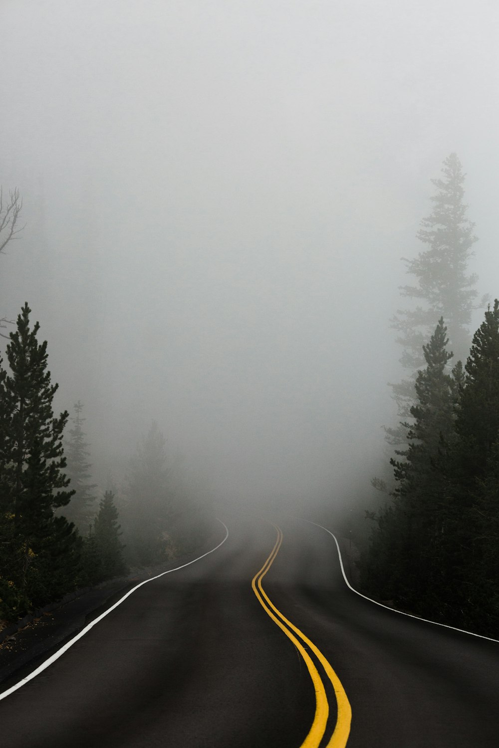 Fog Road Picture. Download Free