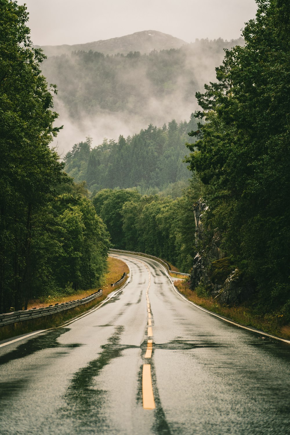 30,Foggy Road Picture. Download