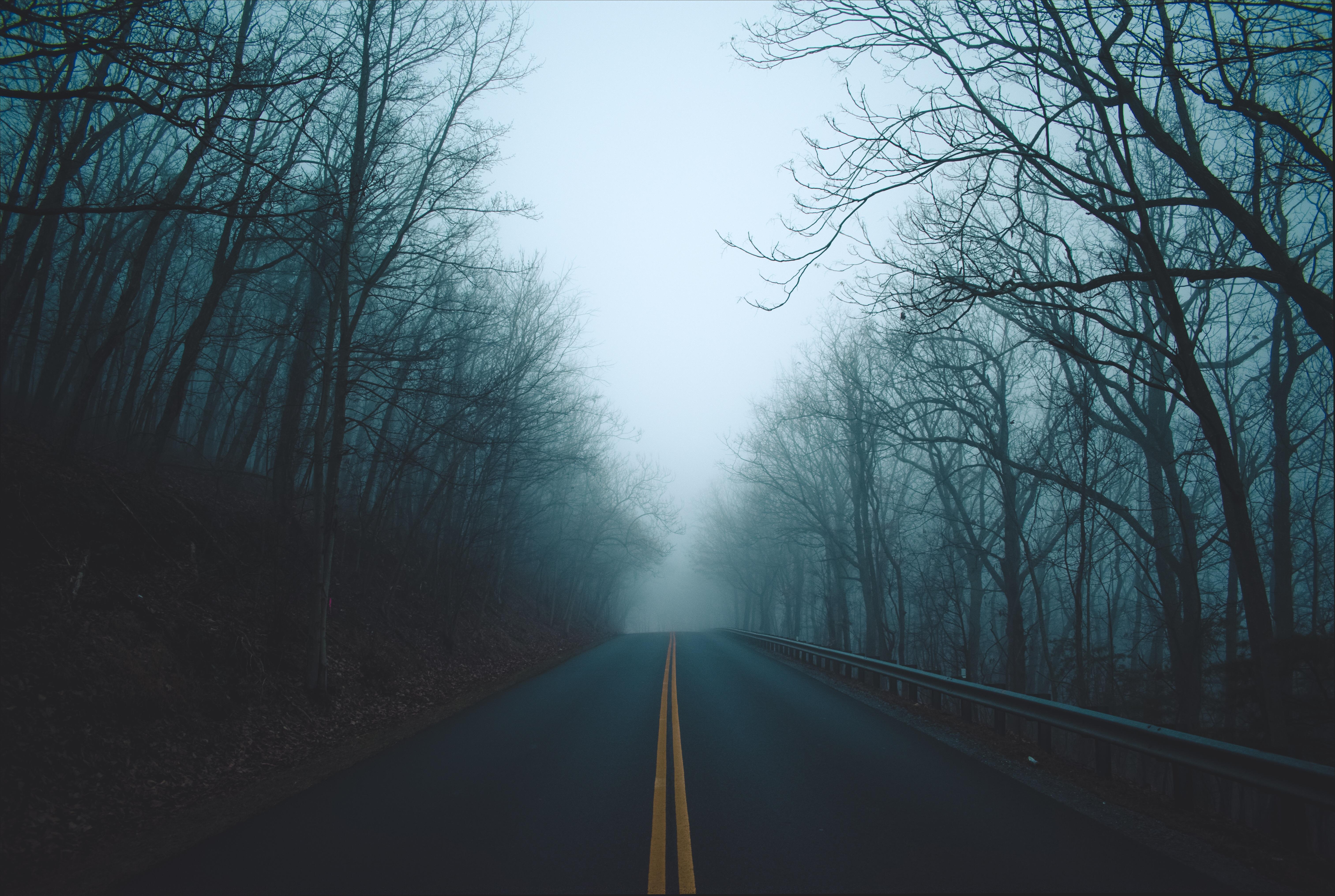 Foggy road [OC] [6000 x 4000], r