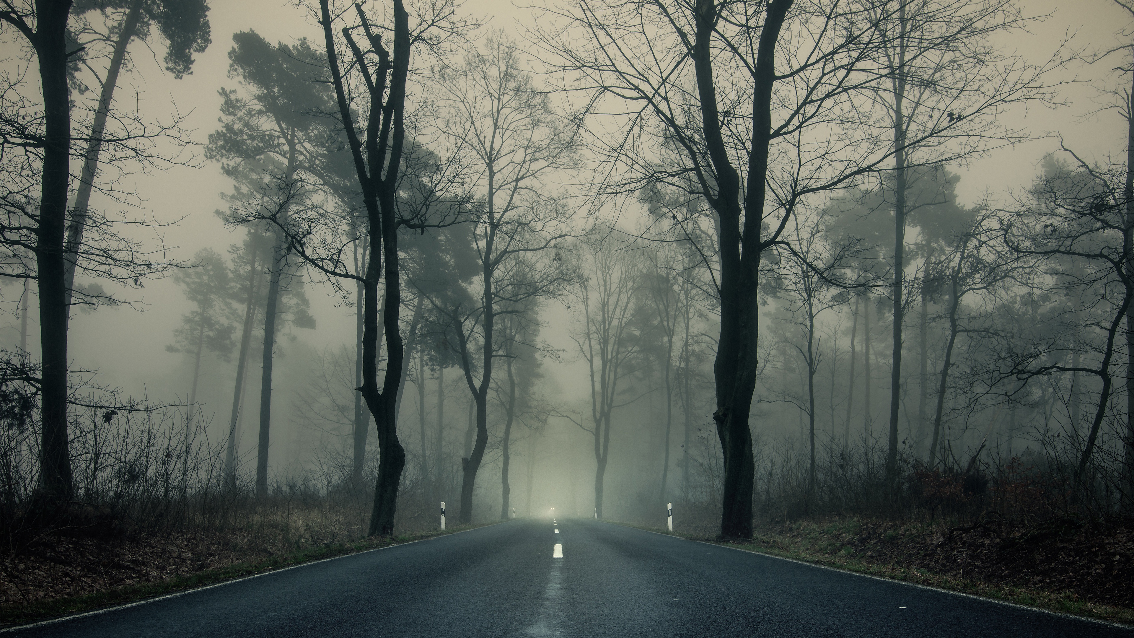 Fog Man Made Road 4k Ultra HD Wallpaper