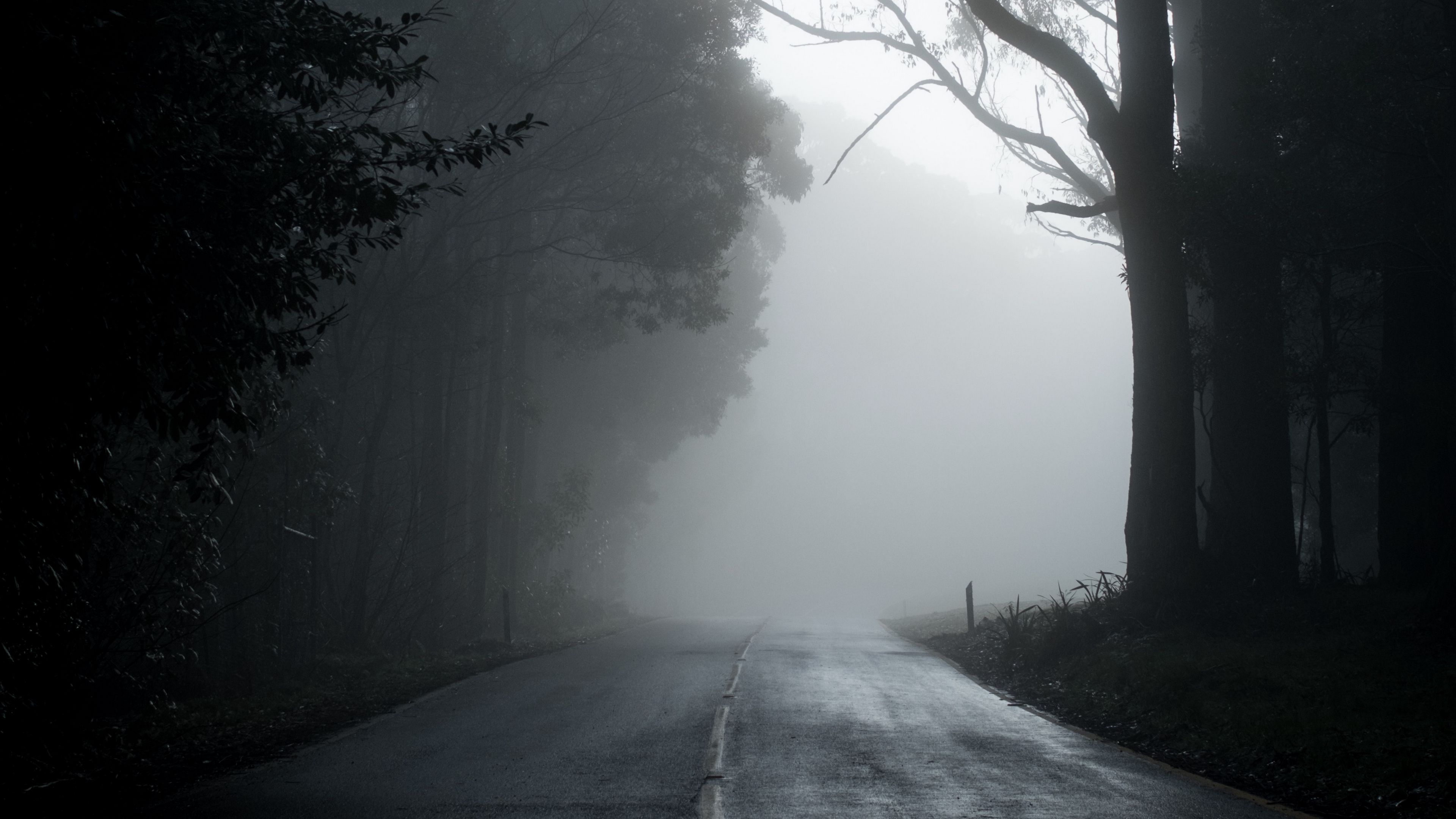 Download wallpaper 3840x2160 fog, road