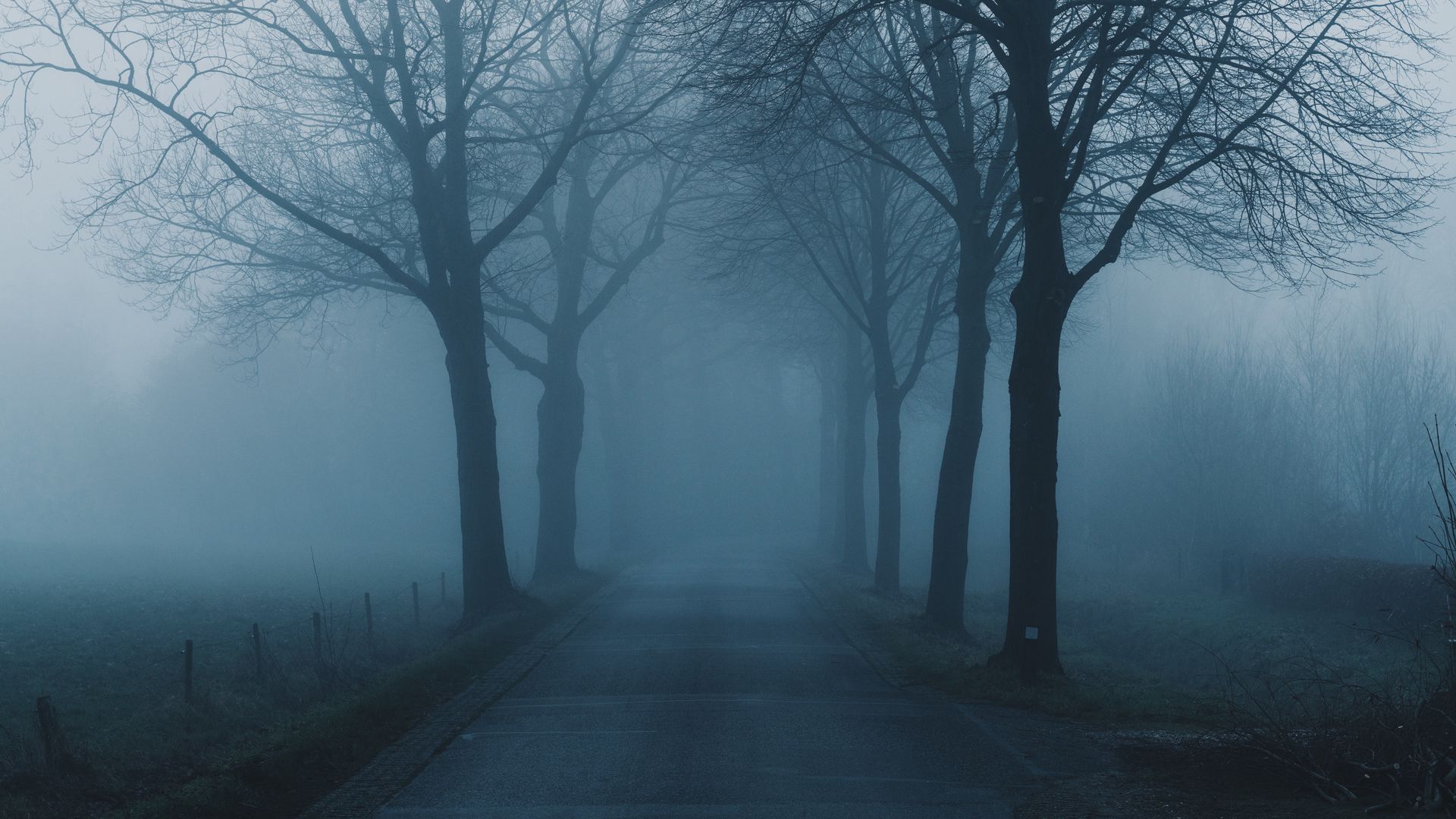 wallpaper 1920x1080 fog, trees, road