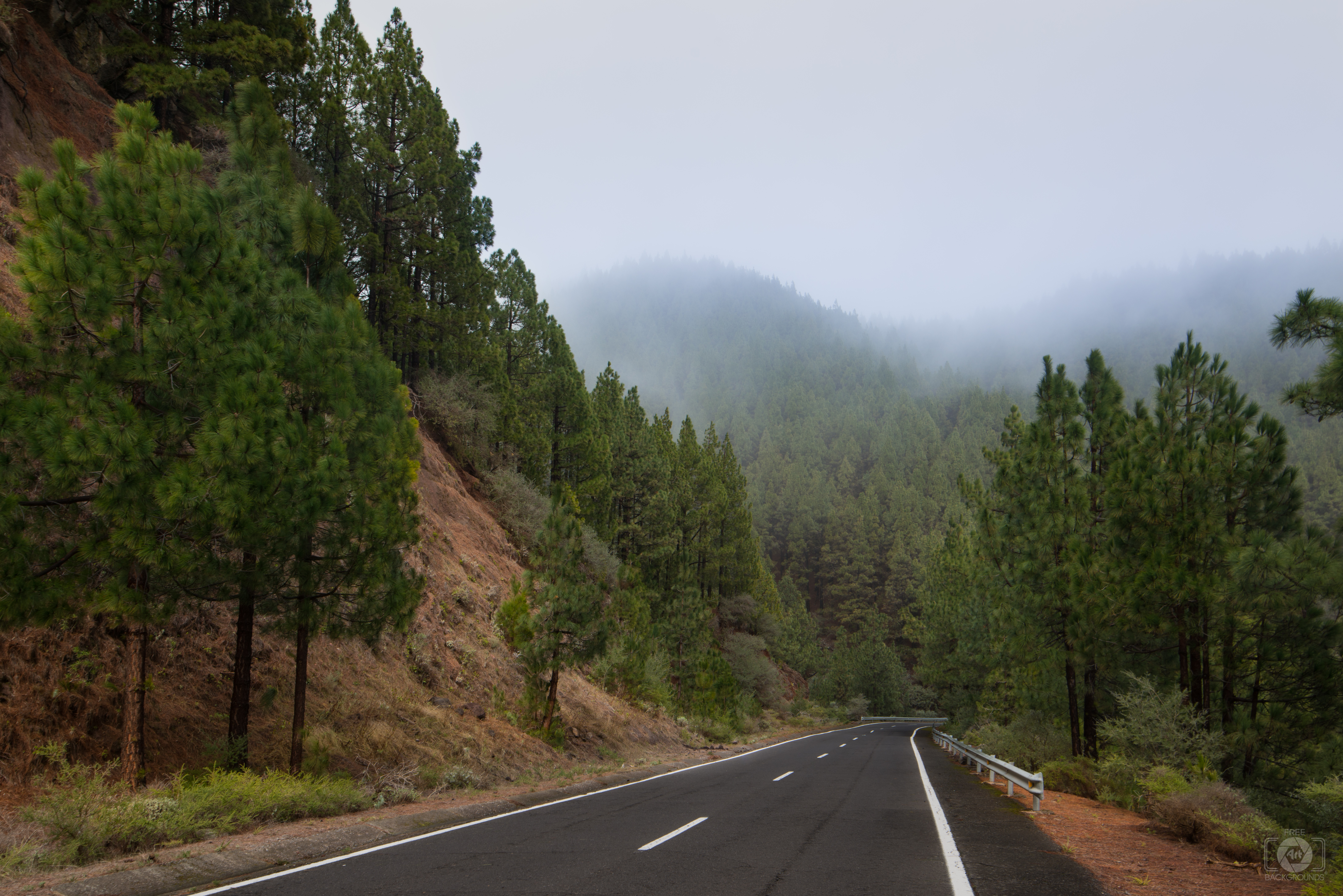 Foggy Mountain Road Background