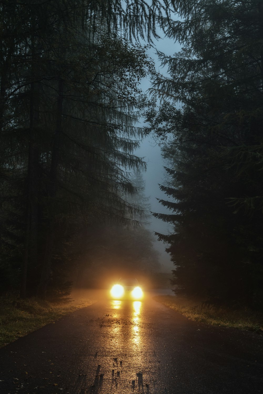 30,Foggy Road Picture. Download