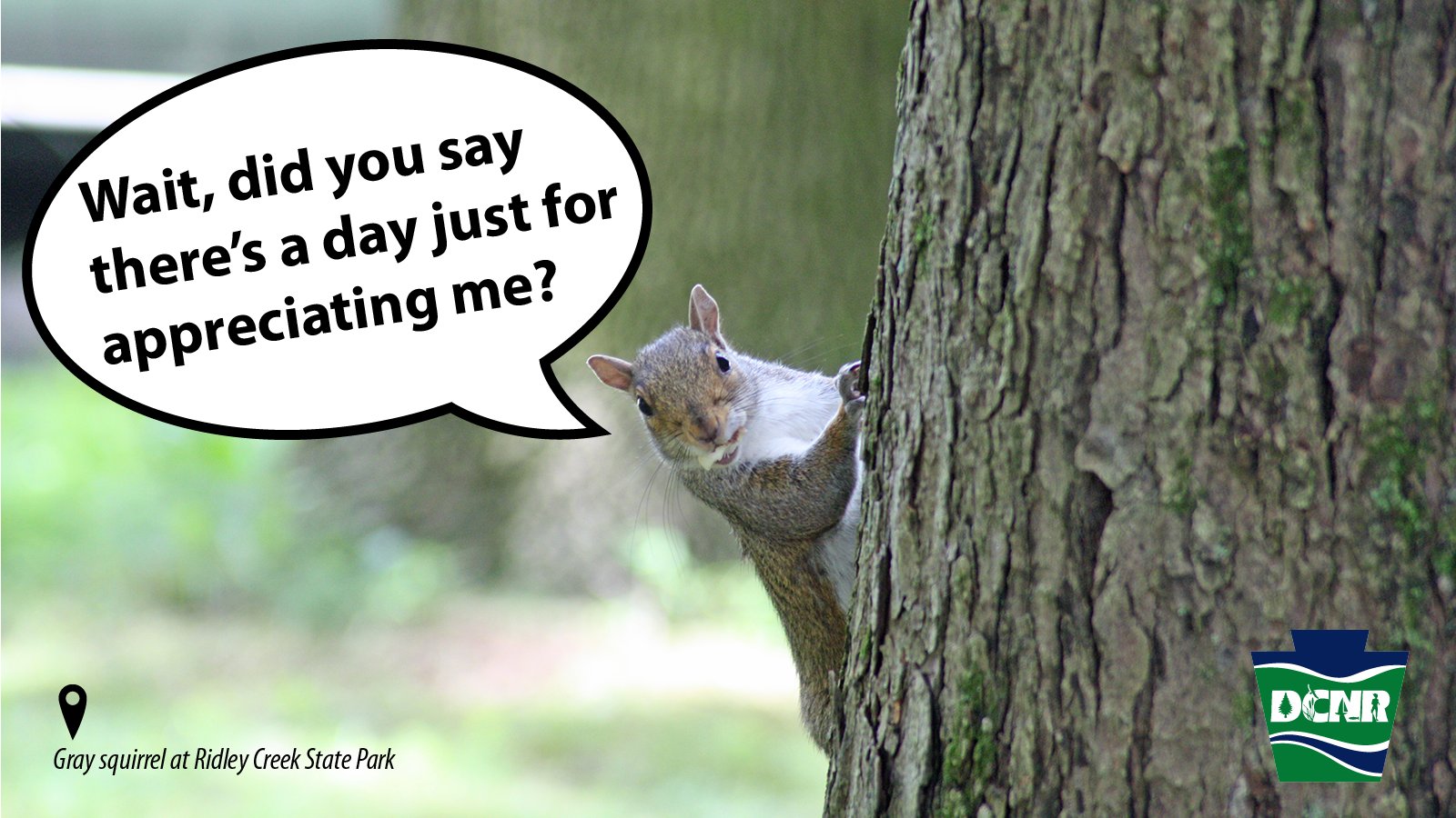 PA Department of Conservation & Natural