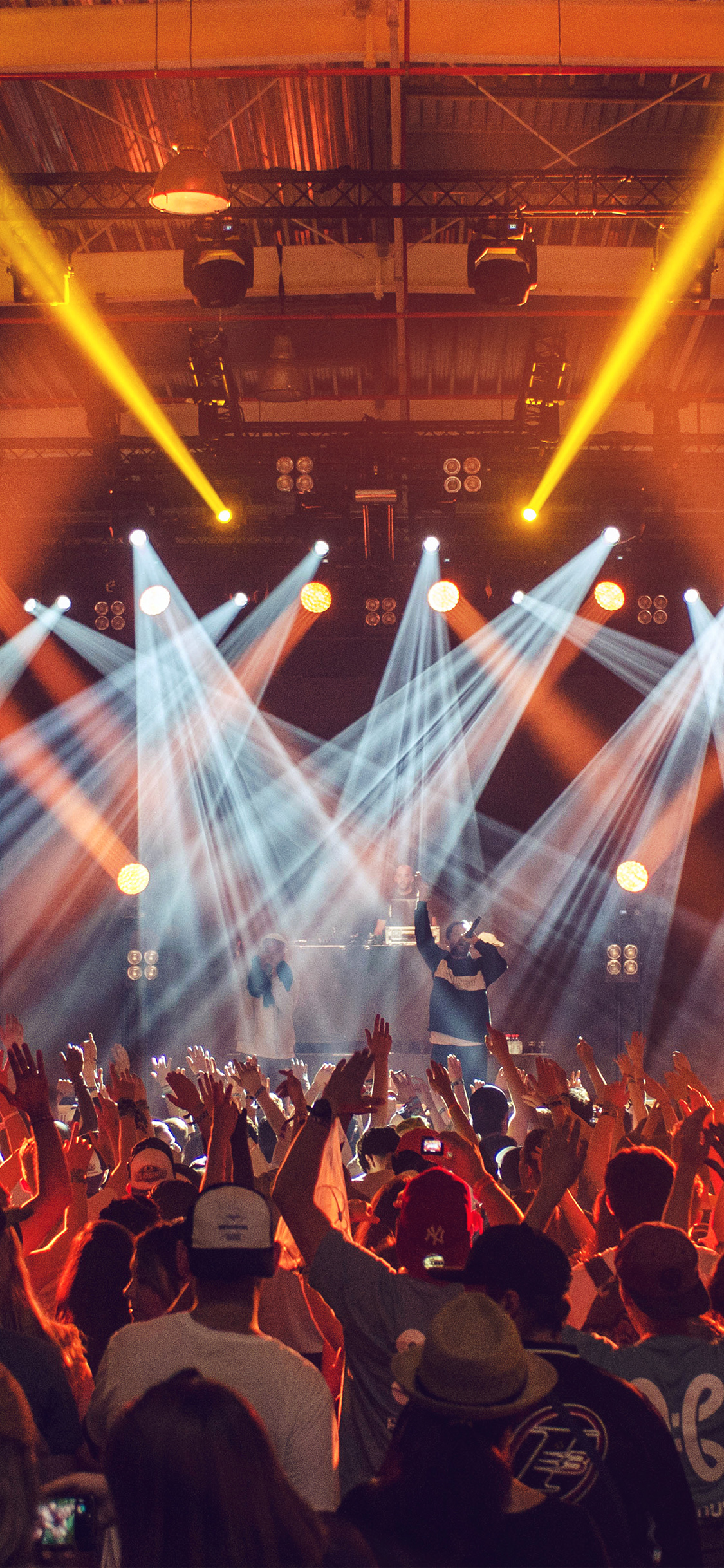 Party Club Dance Night Nature