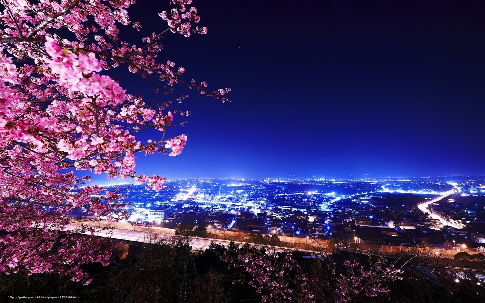 Download wallpaper sakura, Asia, city
