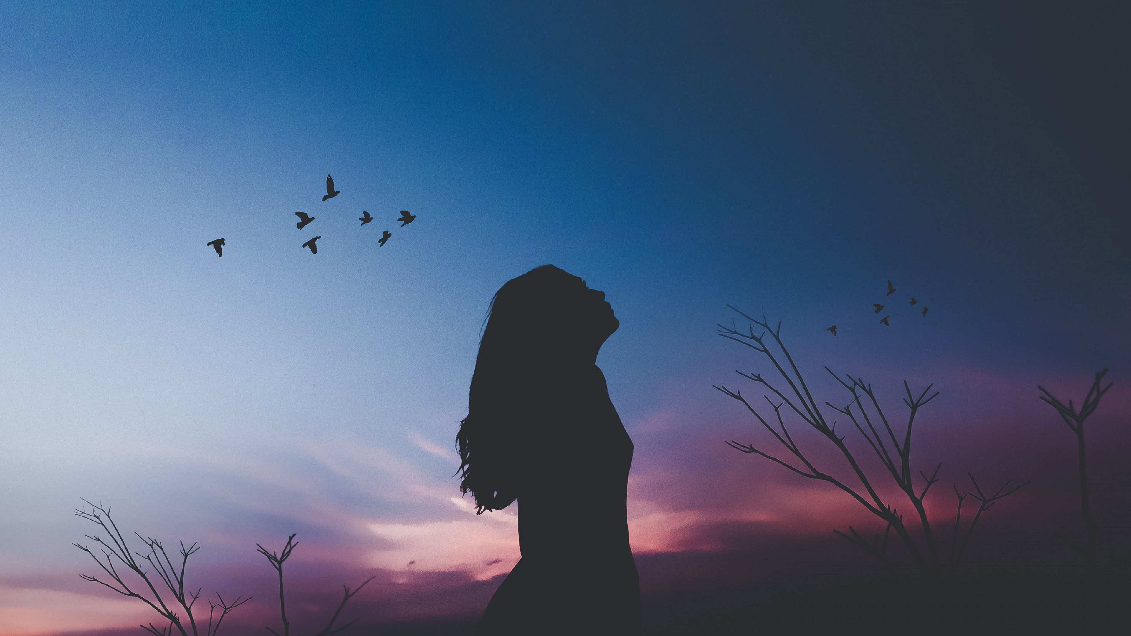 Wallpaper Girl, Silhouette, Shadow, 4K