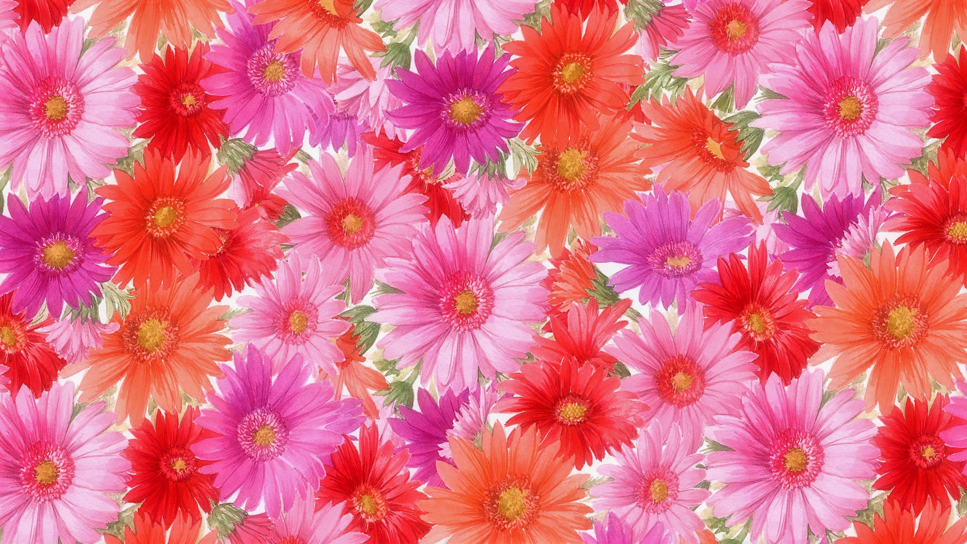 Download Pink Flower Red Flower Orange