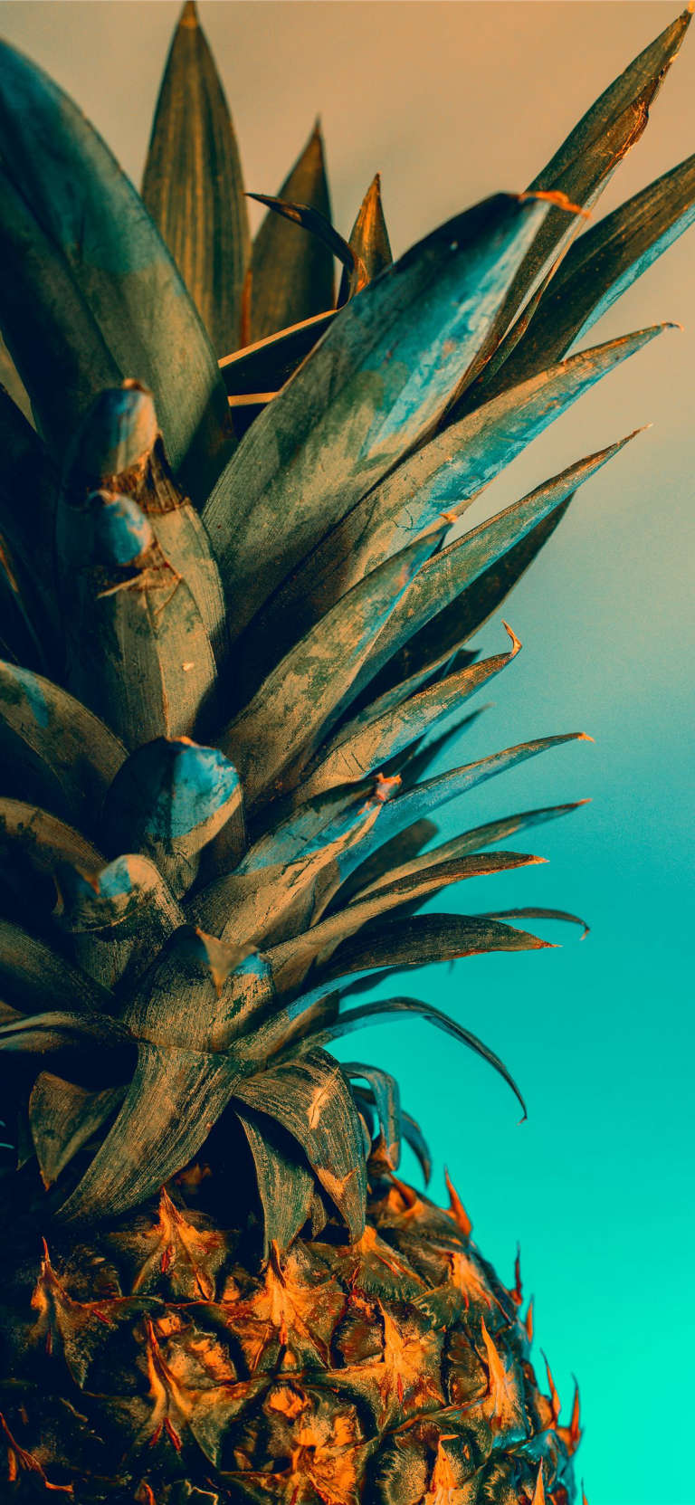 wallpaper iphone summer