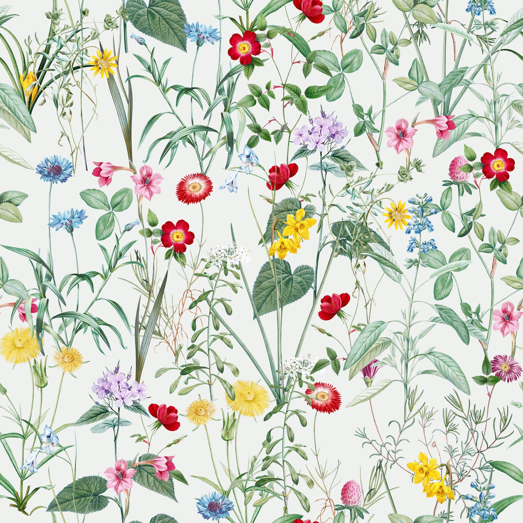 Floral Wallpaper, Spring Garden Chic