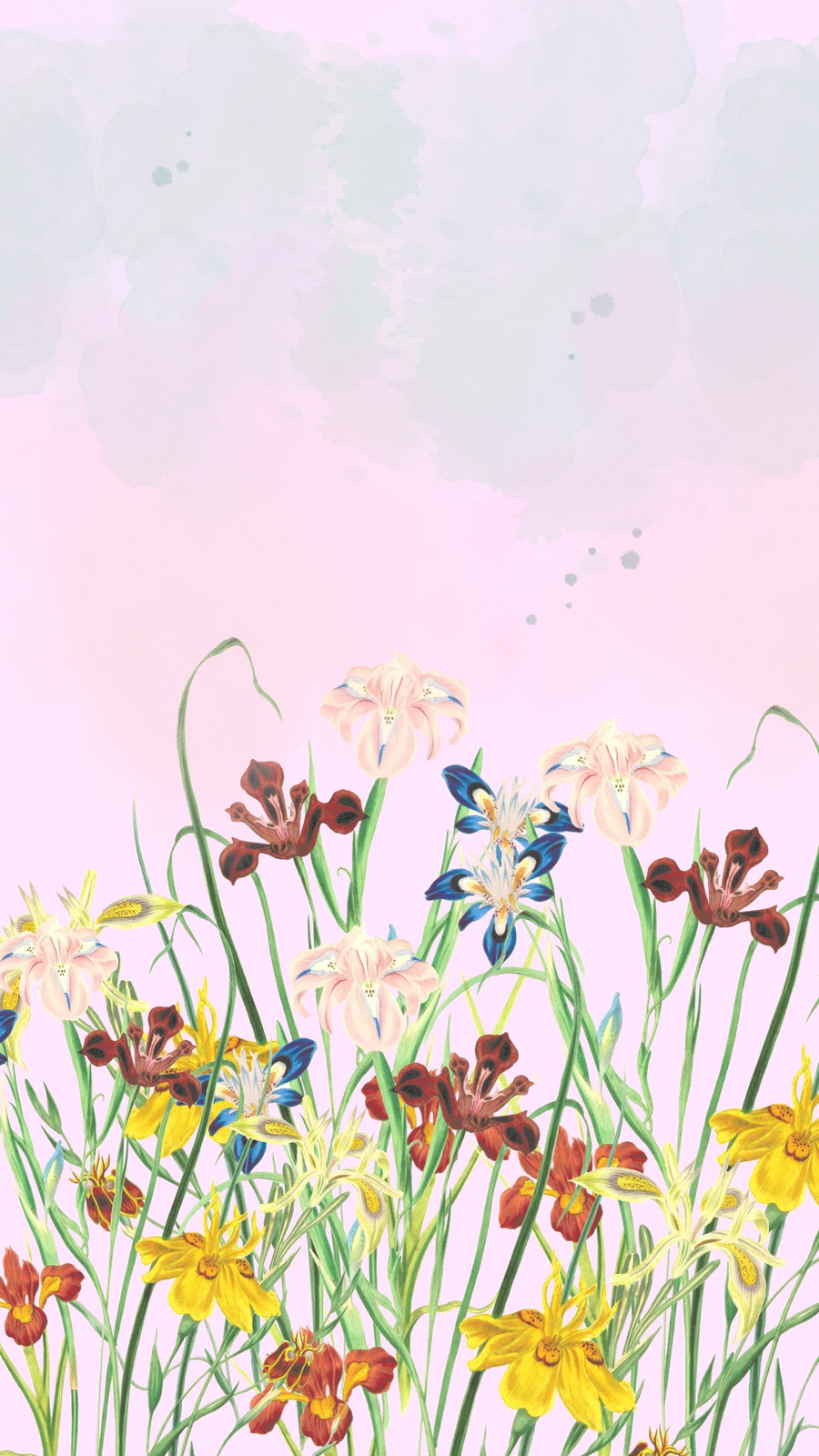 spring flower wallpaper