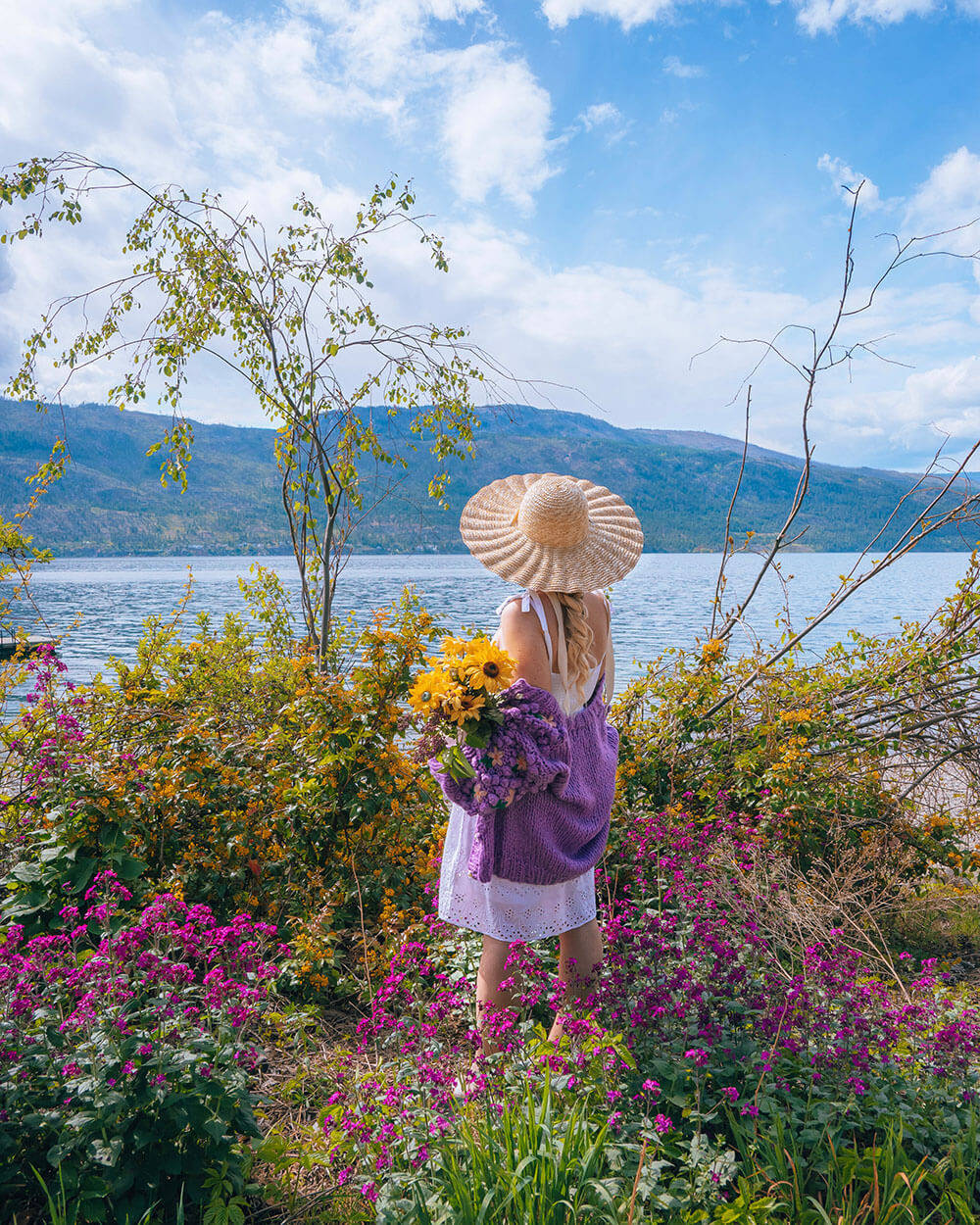 Free Aesthetic Spring HD Wallpaper