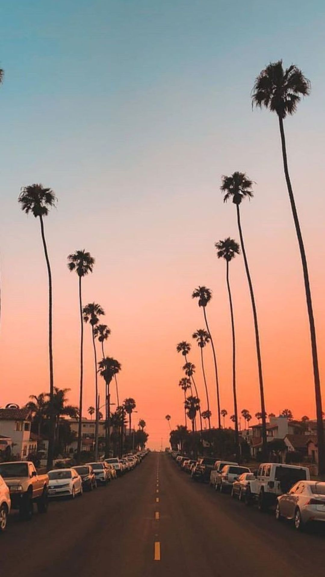 Summer iPhone Wallpaper
