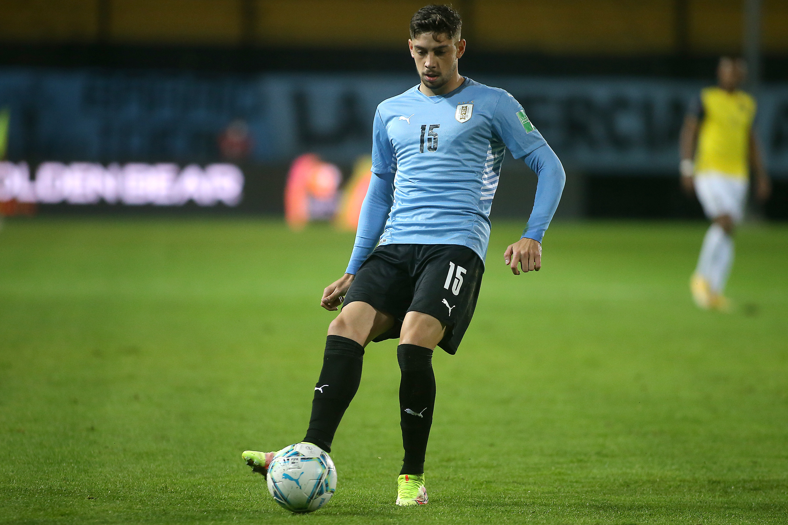 Download Federico Valverde wallpaper