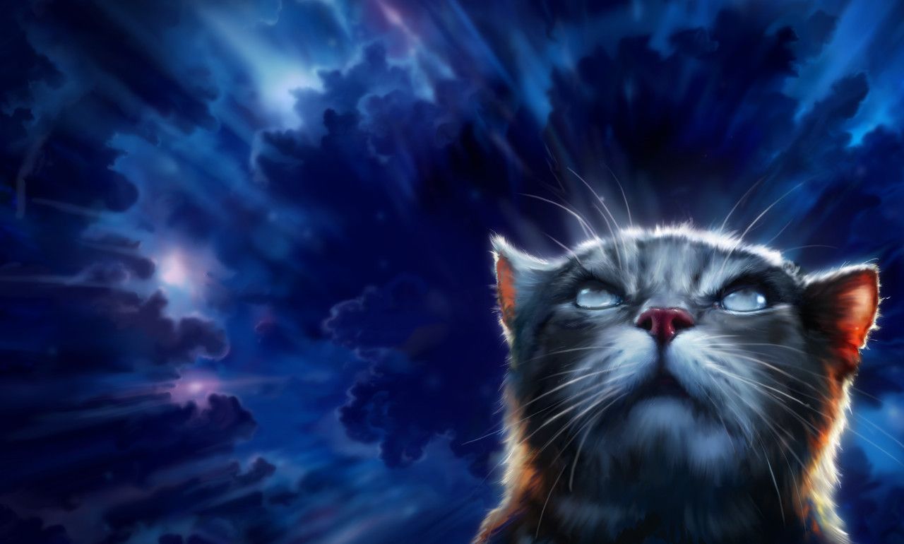 Warriors Official Art. Warrior cats