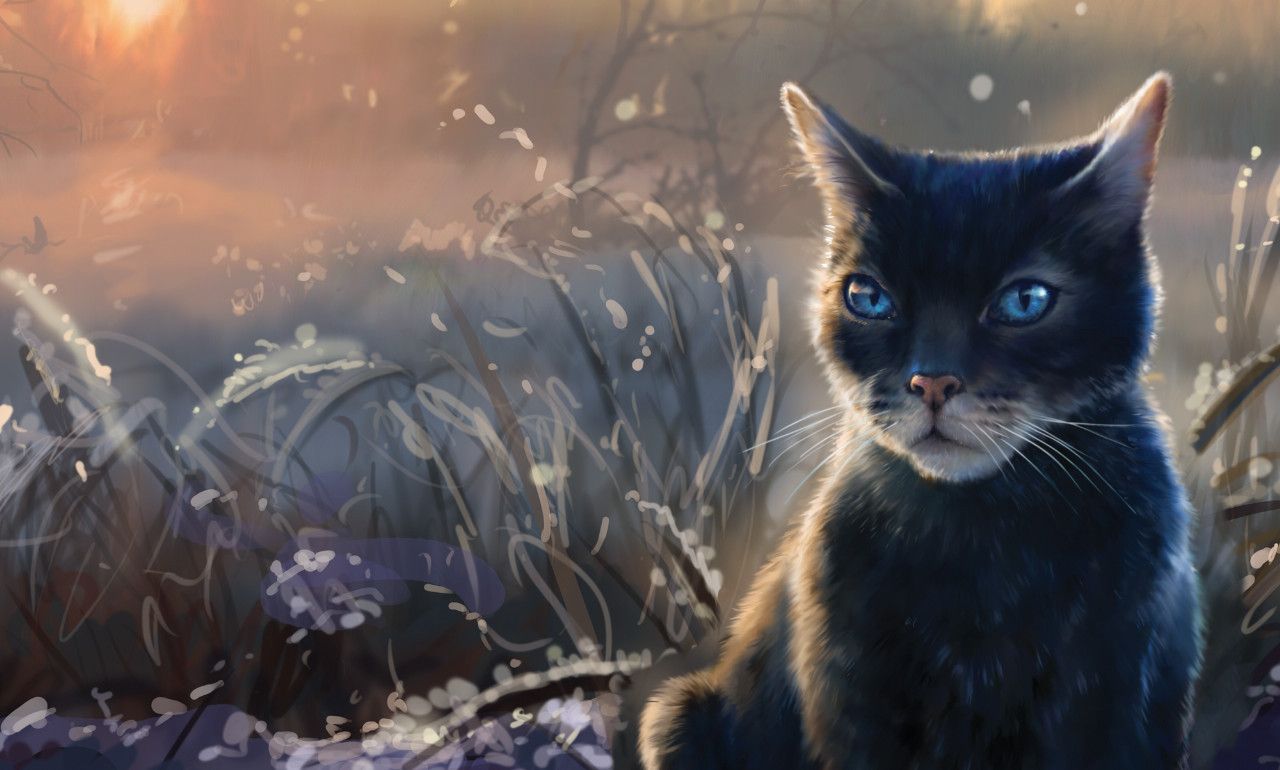 Épinglé sur Warrior cats