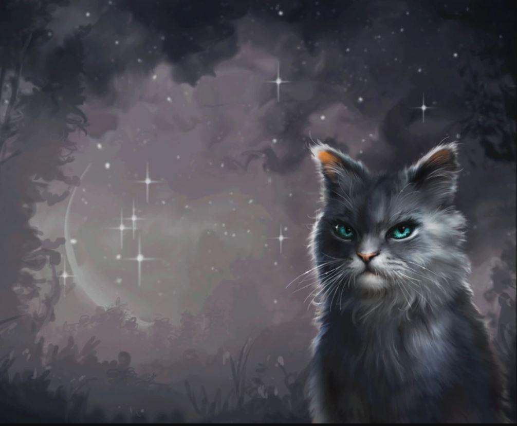 Warriors official art from around