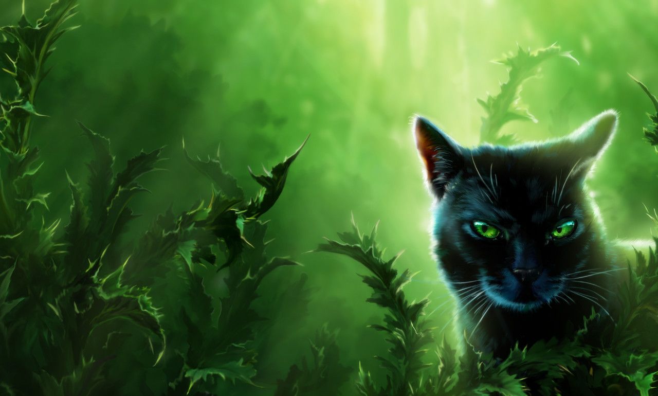 Warriors Official Art