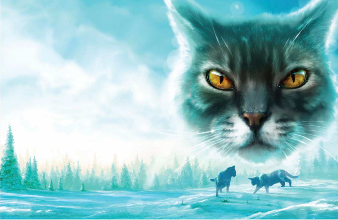 Favorite Life Stage Shadowsight