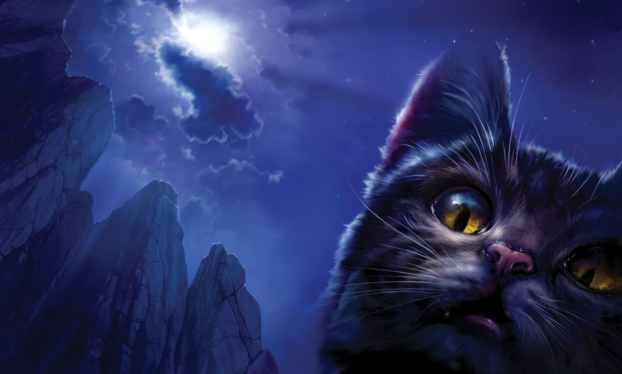 Warrior cats art