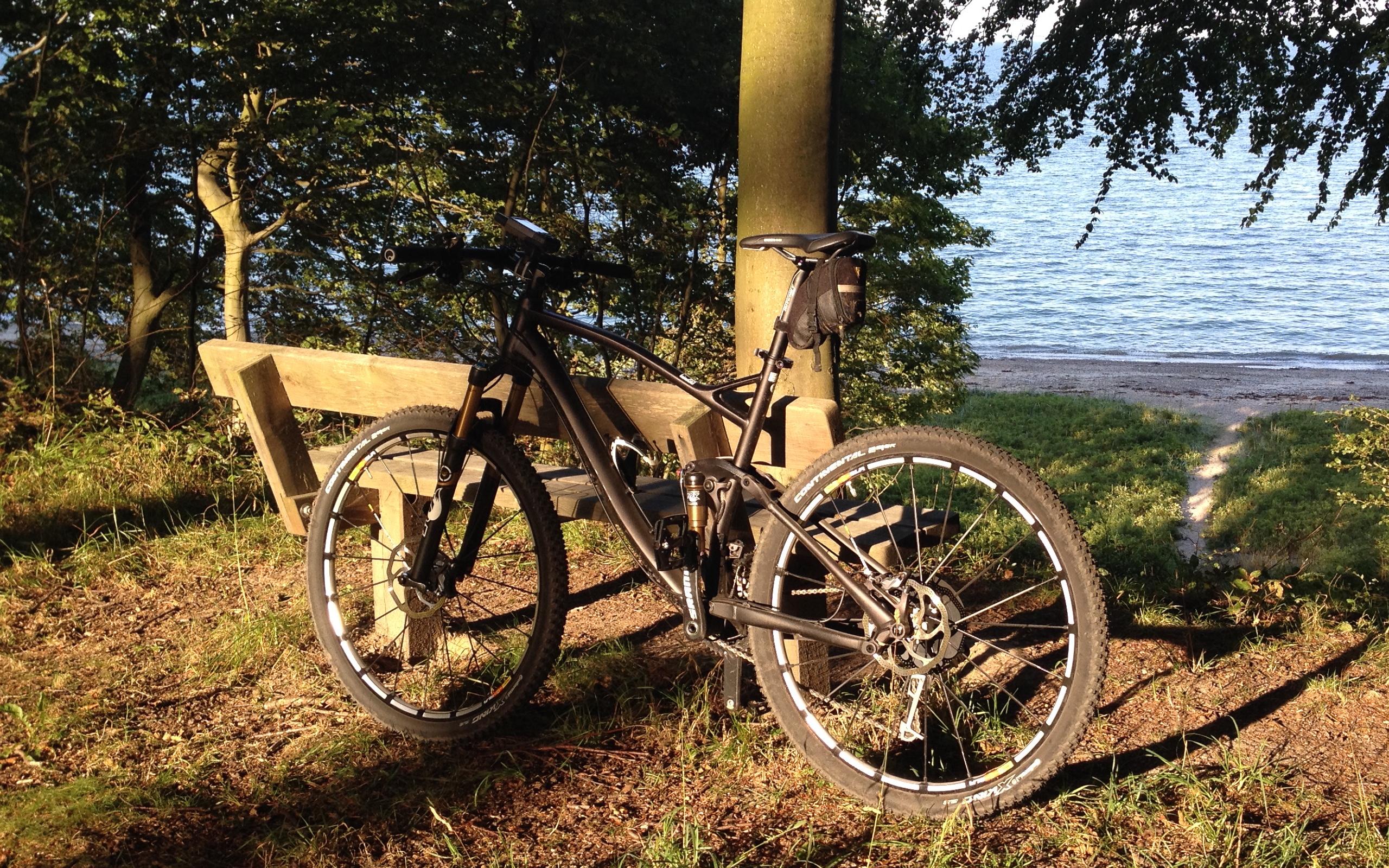 Canyon Nerve AL 29 Photo