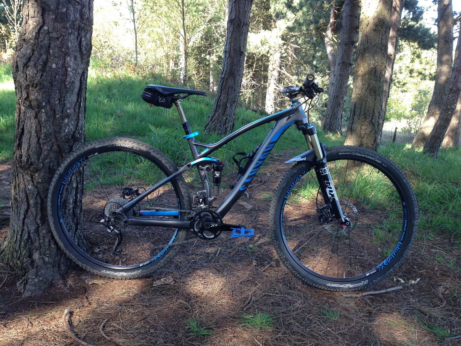 Canyon Nerve AL 29 8.9: More gears