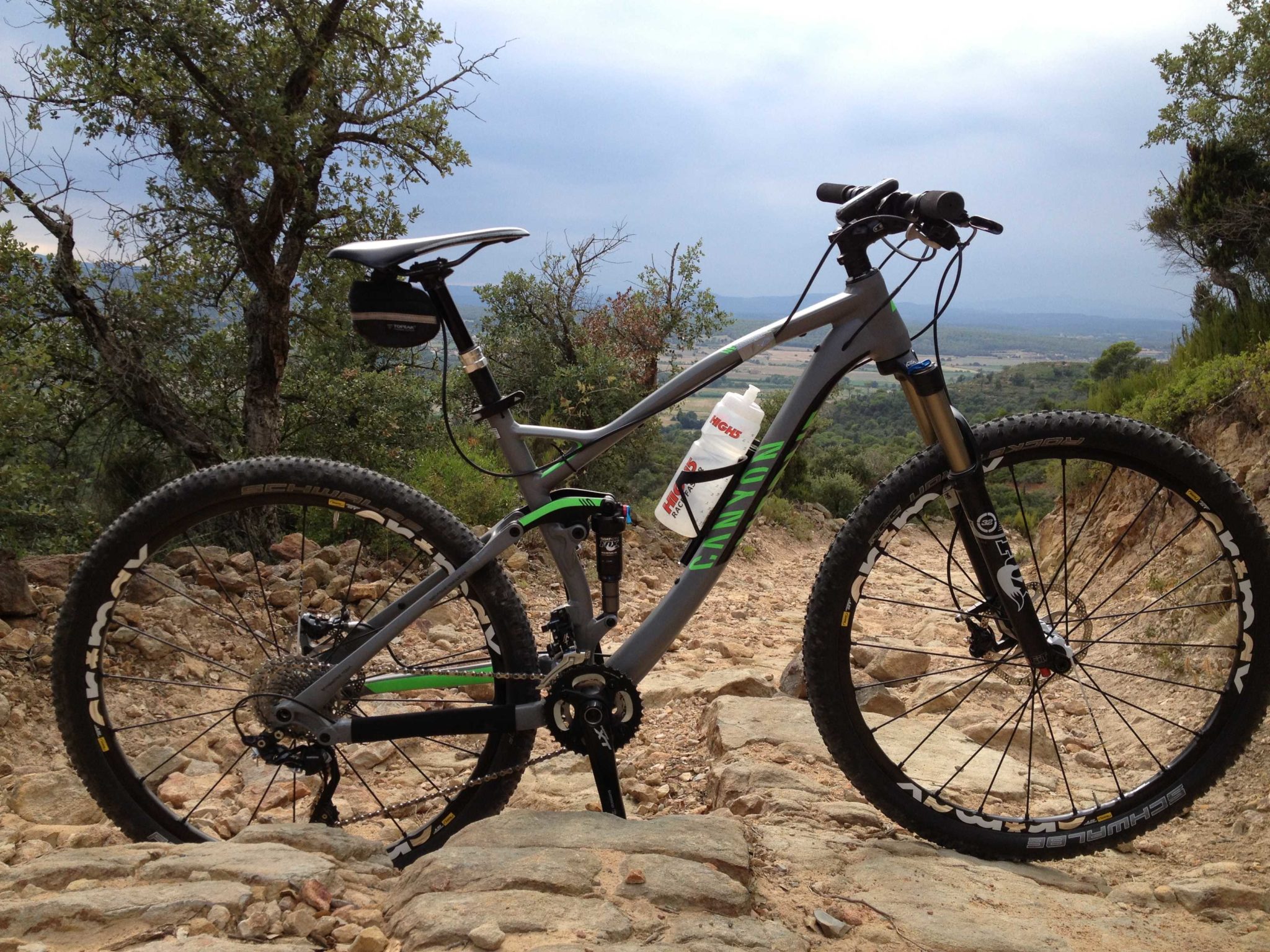 Canyon Nerve AL 9.9 29er