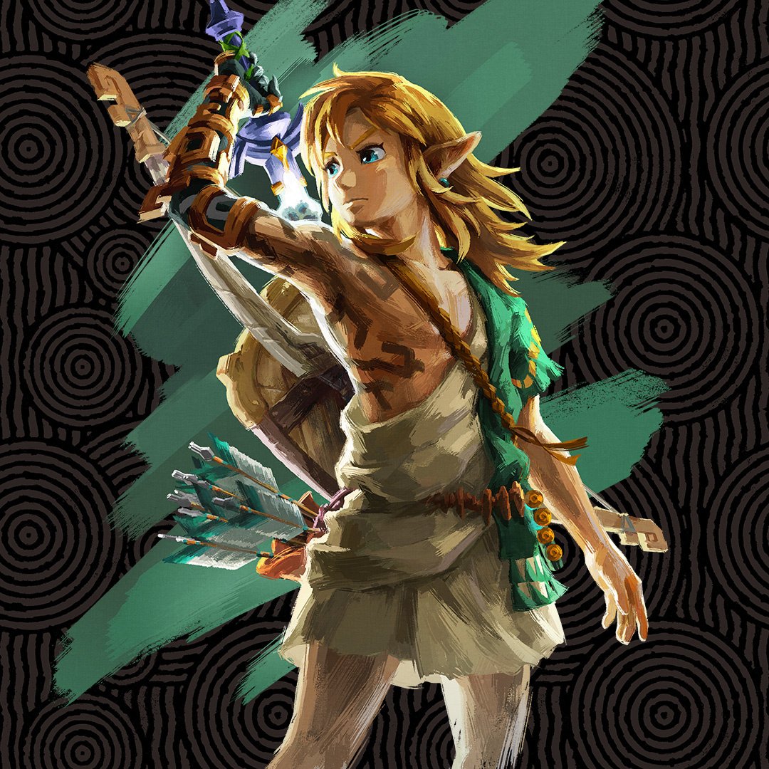Zelda: Tears Of The Kingdom Character
