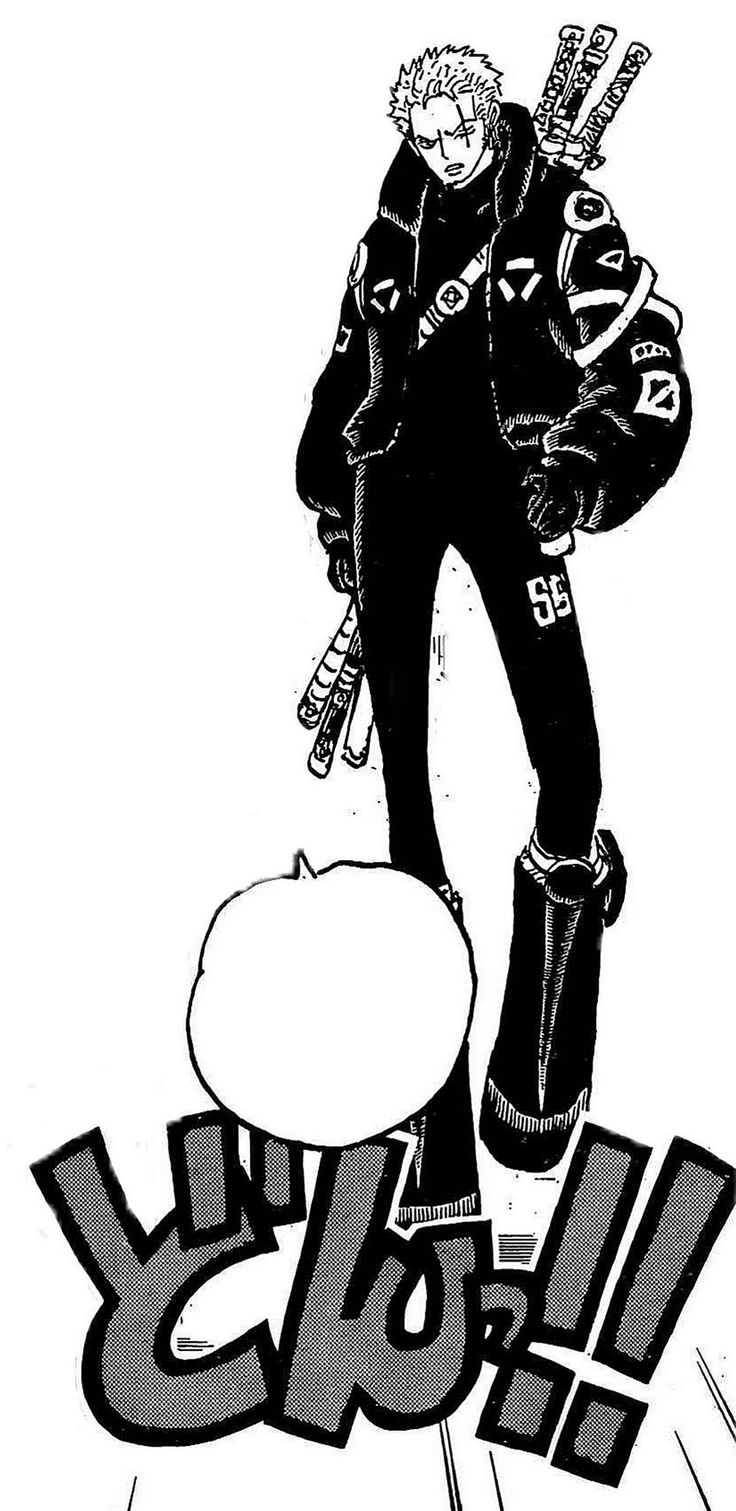 Zoro in Egghead