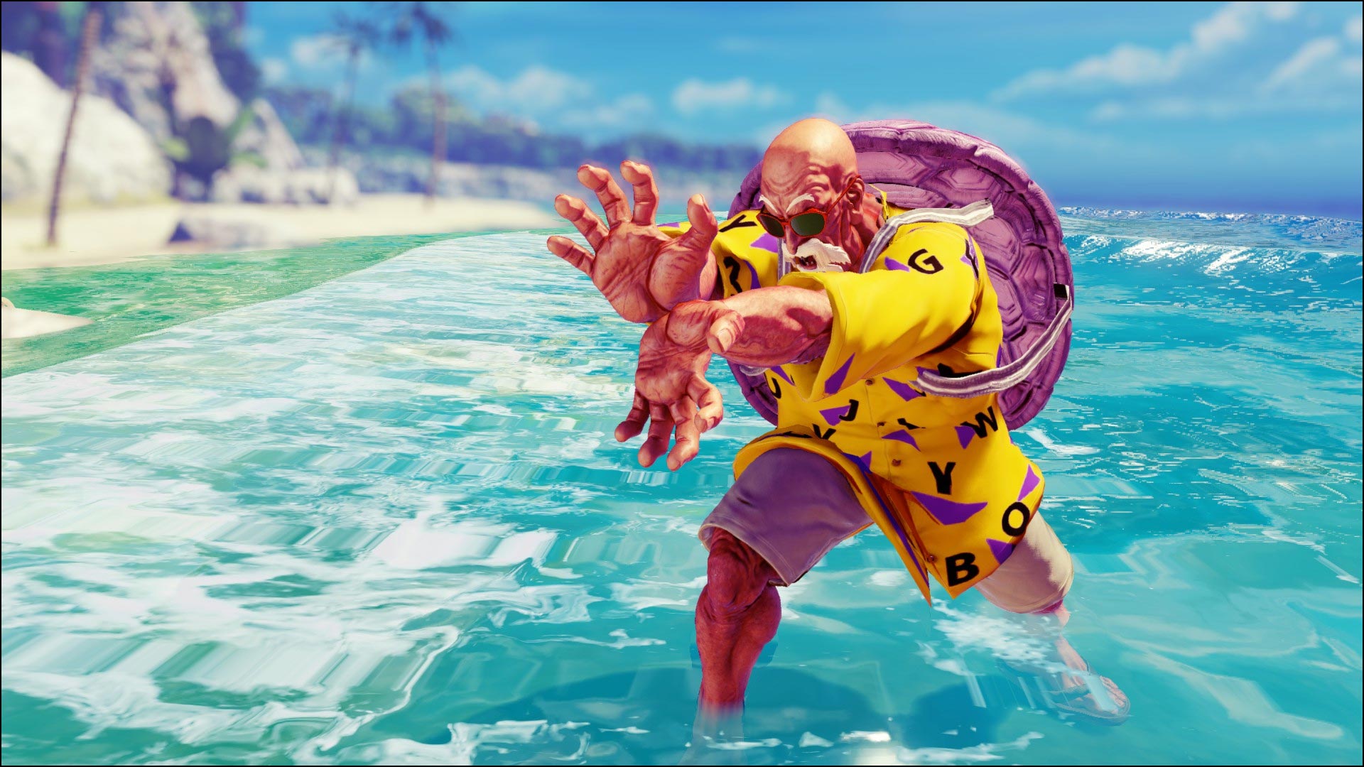 Turtle Hermit Oro 4 out of 6 image gallery