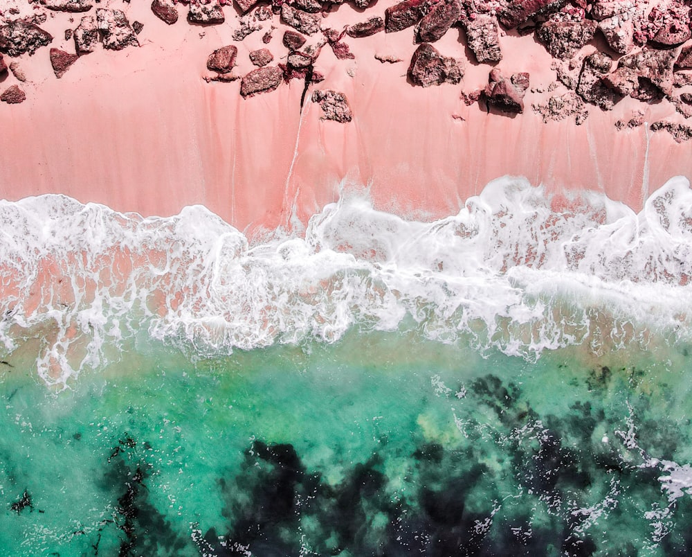 1K+ Pink Beach Picture. Download Free